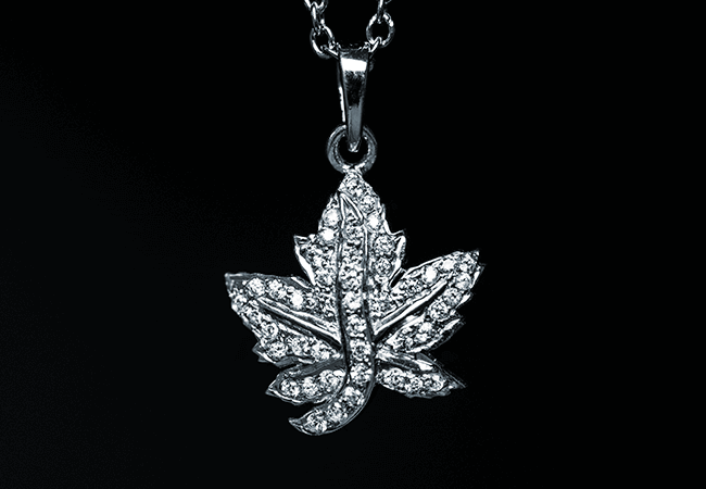 Canadian Brooch Coin Necklace - The Queen’s favourite...