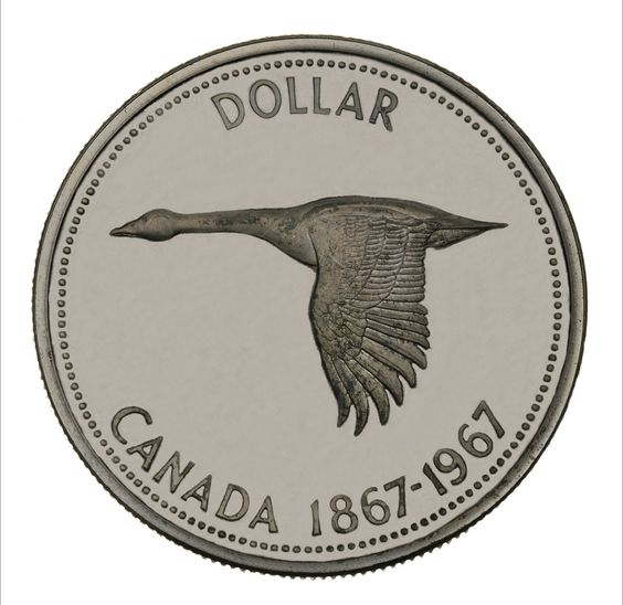 1967 centennial colville dollar - The coin designed by the £1m artist