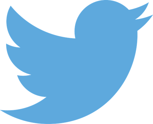 Twitter logo blue - About CPM
