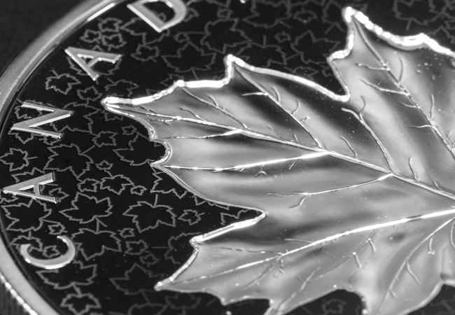 RCM 2024 Maple Leaf 5oz Coin Reverse upclose - The Maple Leaf: A Symbol of Canada’s Enduring Greatness